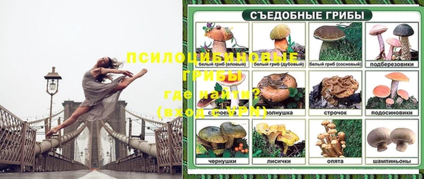 амф Алексин