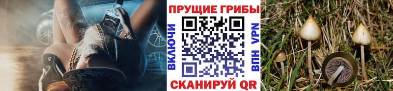 Псилоцибиновые грибы прущие грибы  ссылка на мегу ССЫЛКА  Вилючинск 